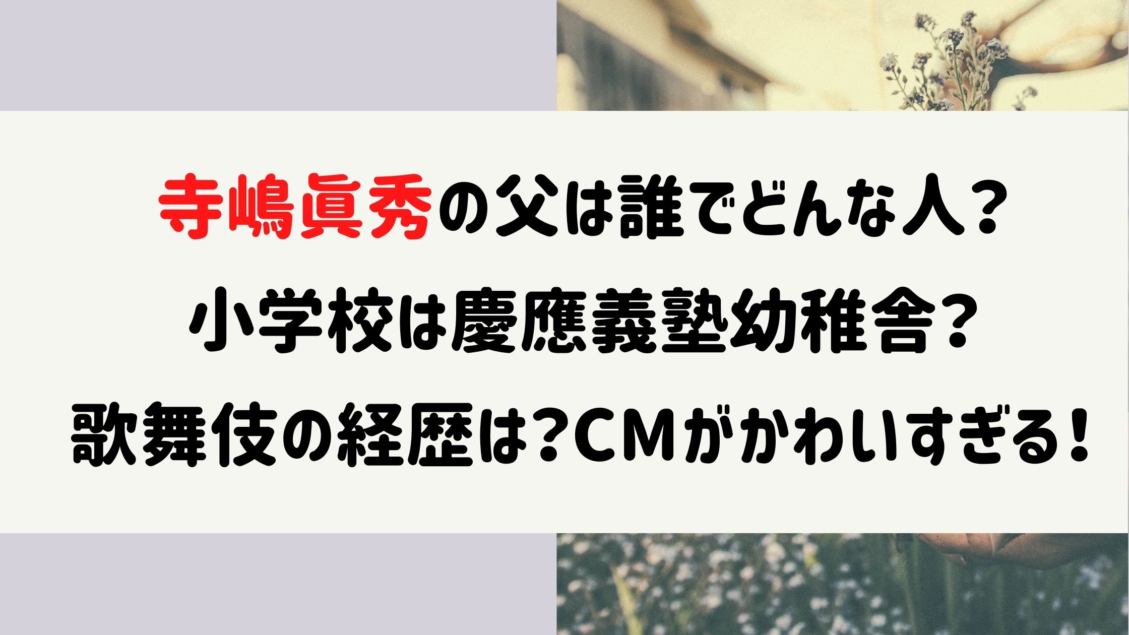 寺嶋眞秀の父は誰で小学校は慶應 歌舞伎の経歴やcmがかわいすぎる Naohana Blog