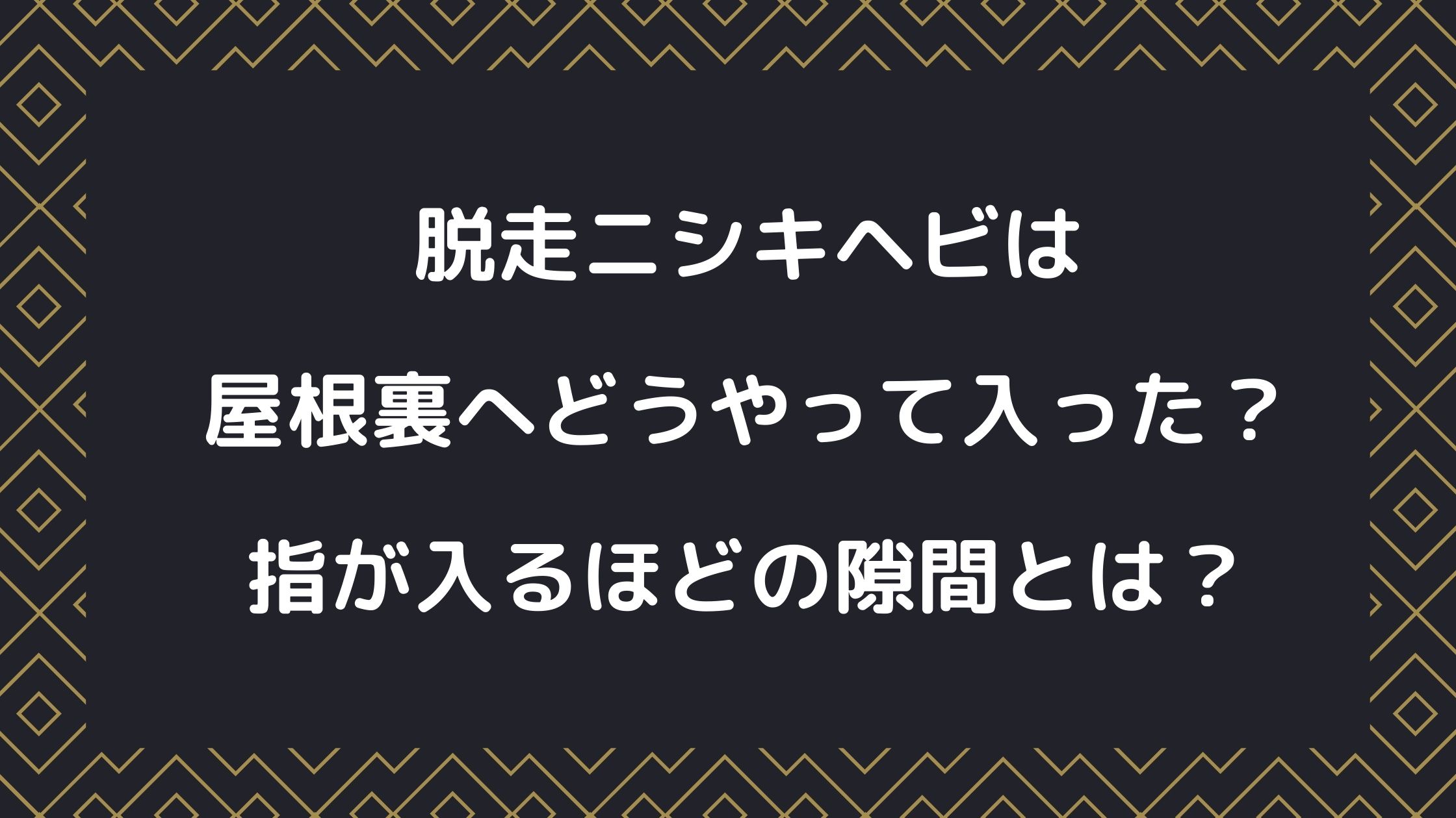 脱走ニシキヘビは屋根裏へどうやって入った 指が入るほどの隙間とは Naohana Blog